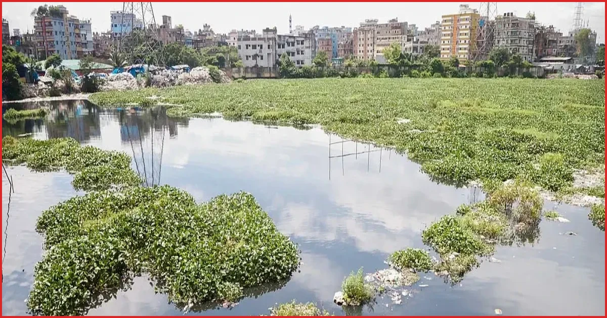 ময়লা ও কচুরিপানায় বুড়িগঙ্গার আদি চ্যানেল এখন বিপর্যস্ত