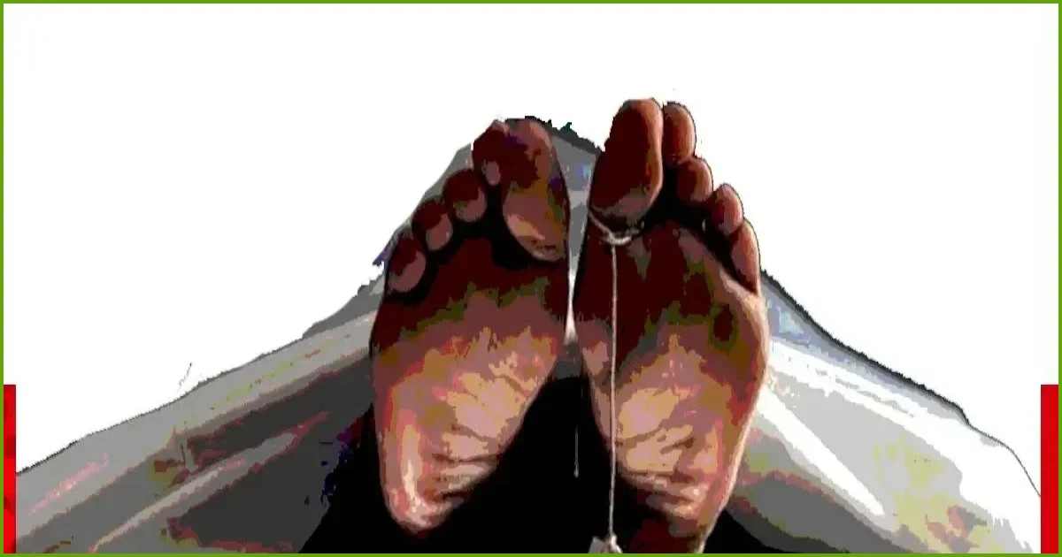 সাঁথিয়ায় সাপের কামড়ে ঝাড়ফুঁকের অপেক্ষায় প্রাণ গেল রেজাউলের