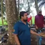 সাতক্ষীরায় ২৮০টি মৌ-বাক্স পুকুরে ফেলে ধ্বংস