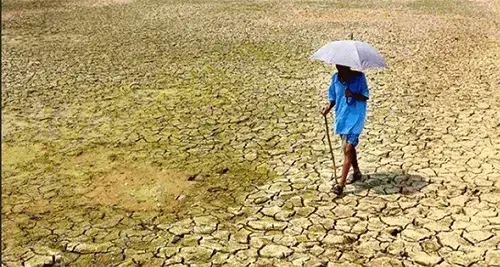 তীব্র তাপদাহে বিপর্যস্ত জনজীবন: জলবায়ু পরিবর্তনের ঝুঁকিতে বাংলাদেশ