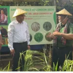 লন্ডনে দেশি ধানের সফল চাষ: প্রকল্প পরিদর্শন করলেন ভারপ্রাপ্ত হাইকমিশনার