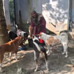 পথকুকুরের প্রতি কেন এত ঘৃণা ও বিদ্বেষ?