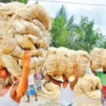 গত ১০ বছরে পাট ও পাটজাত পণ্য রপ্তানি থেকে বাংলাদেশের আয় ৮৪ হাজার কোটি টাকা