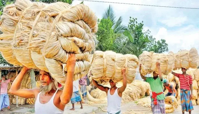 গত ১০ বছরে পাট ও পাটজাত পণ্য রপ্তানি থেকে বাংলাদেশের আয় ৮৪ হাজার কোটি টাকা