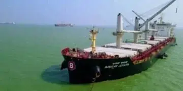 রবি ও বোরো মৌসুমের প্রস্তুতি: চলতি মাসেই দেশে আসছে সাত জাহাজ সার