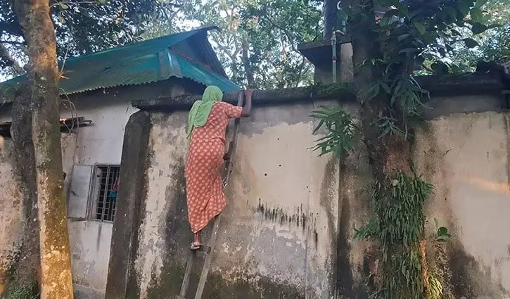 গাজীপুরে কাঁটাতারের বেড়ায় দুই বছর ধরে অবরুদ্ধ বিধবার পরিবার, নেই বিদ্যুৎ-পানি