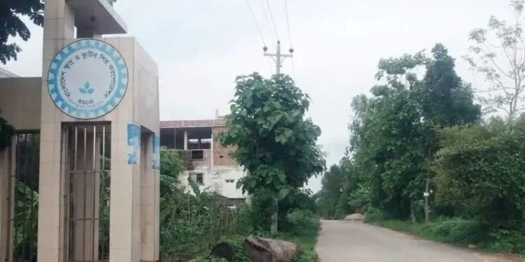 উদ্যোক্তার অভাবে খালি পড়ে আছে বিসিকের শত শত শিল্পপ্লট