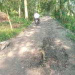 সিরাজগঞ্জের কাজীপুরে দীর্ঘদিনের জরাজীর্ণ সড়ক, ভোগান্তিতে হাজারো শিক্ষার্থী