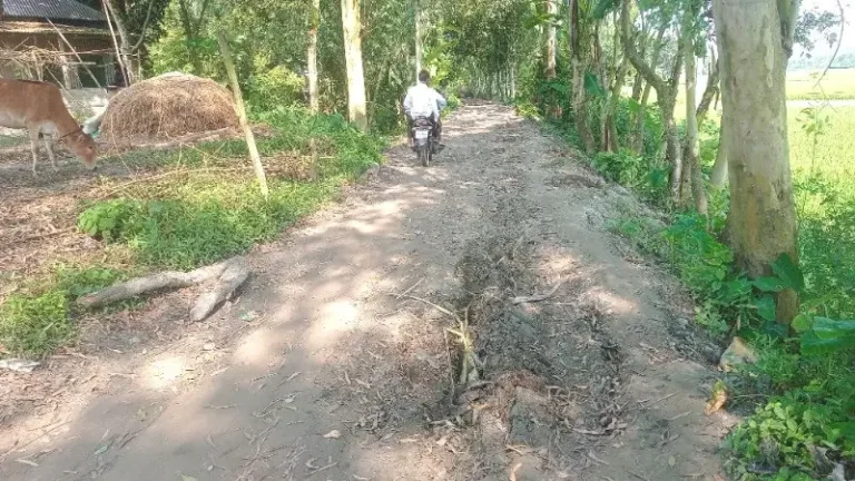 সিরাজগঞ্জের কাজীপুরে দীর্ঘদিনের জরাজীর্ণ সড়ক, ভোগান্তিতে হাজারো শিক্ষার্থী