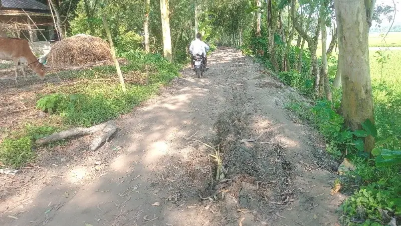 সিরাজগঞ্জের কাজীপুরে দীর্ঘদিনের জরাজীর্ণ সড়ক, ভোগান্তিতে হাজারো শিক্ষার্থী