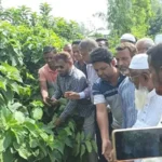 রায়গঞ্জে ডেঙ্গু প্রতিরোধে পরিচ্ছন্নতা অভিযানের উদ্বোধন করলেন এমপি