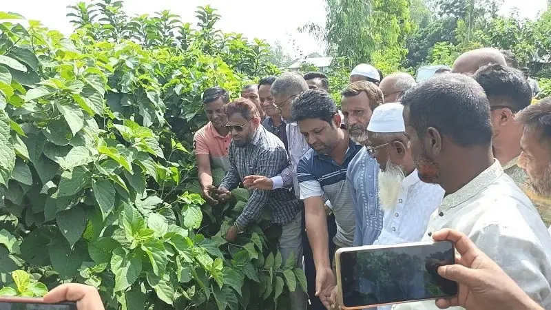 রায়গঞ্জে ডেঙ্গু প্রতিরোধে পরিচ্ছন্নতা অভিযানের উদ্বোধন করলেন এমপি