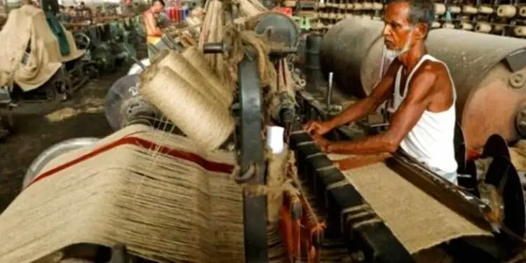 বাংলাদেশি পাটপণ্যে ভারতের নতুন অ্যান্টিডাম্পিং শুল্ক আরোপ