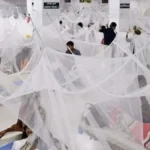 ডেঙ্গুতে আরও ৭ জনের মৃত্যু, হাসপাতালে ভর্তি বছরের সর্বোচ্চ রোগী