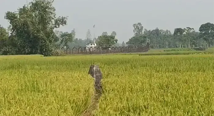 লালমনিরহাট সীমান্তে ১২ জনকে পুশইনের চেষ্টা