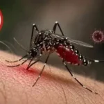 দেশে ডেঙ্গুর প্রকোপ অব্যাহত: ২৪ ঘণ্টায় ৬ জনের মৃত্যু