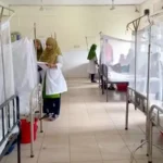 অক্টোবরের ৯ দিনেই ডেঙ্গুতে ৫০ জনের মৃত্যু