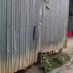 শ্রীপুরে এক রাতেই চার গরু সম্পদ সংক্রান্ত ঘটনায়, আতঙ্কিত