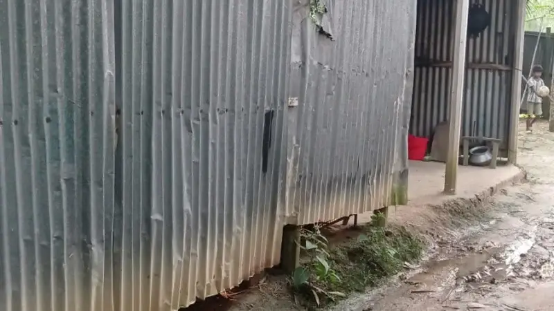 শ্রীপুরে এক রাতেই চার গরু সম্পদ সংক্রান্ত ঘটনায়, আতঙ্কিত